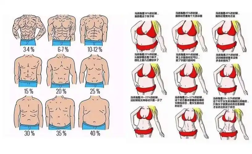 图片来源于网络老生常谈的"体脂率"70 小编知道大家对于减脂的需求