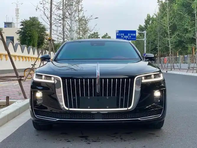 石家庄2021年1月红旗红旗h92020款20t智联旗畅版黑色手动挡