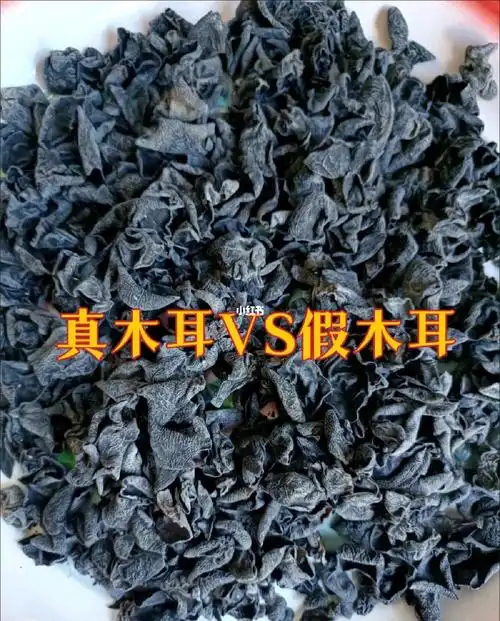 你能分辨出真假木耳吗?