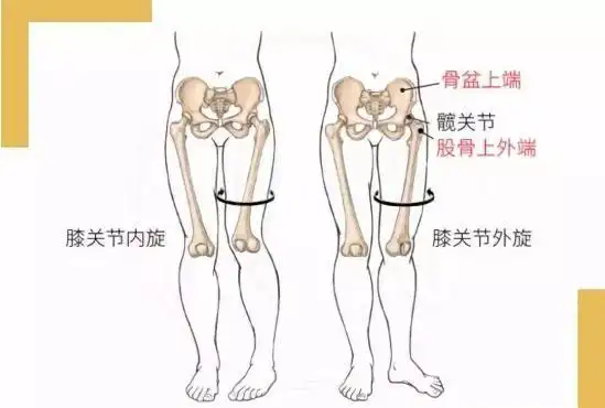 真的不能跷二郎腿腿粗胯宽高低肩可能都是不良坐姿引起的