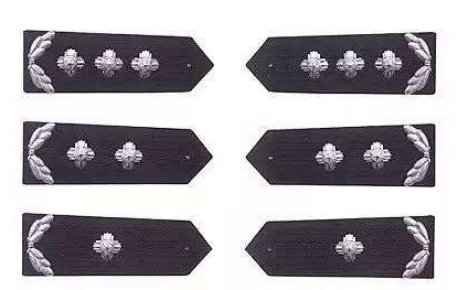 公安部统一辅警警衔2020三篇