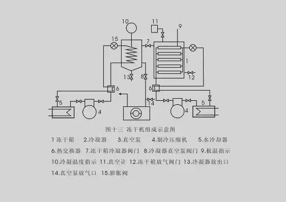 真空冷冻干燥机的应用