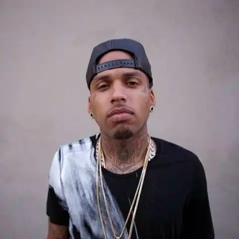 疯狂的说唱歌手lilwaynebirdmantygarickrosssouljaboy等脸上纹身19张