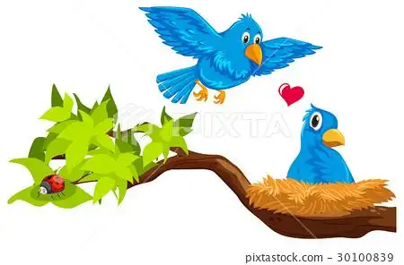 插图素材: bird couple in nest