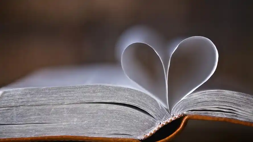 浪漫,爱心,书,爱情,挚爱此生不渝壁纸