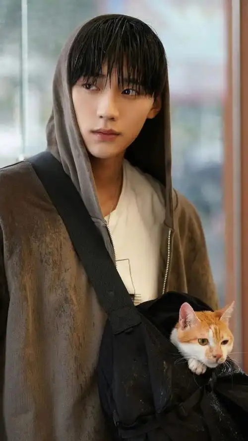 周翊然沈倦满分男友