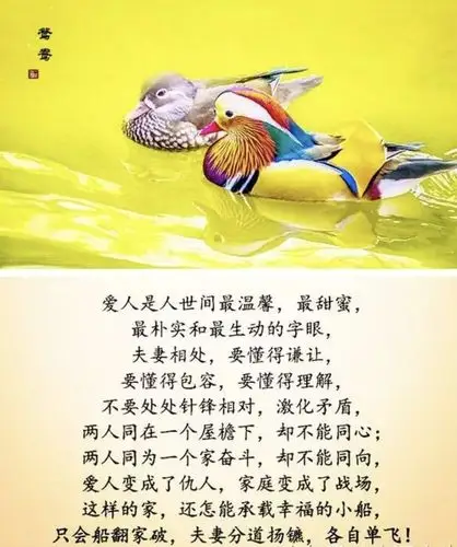 夫是妻的靠山妻是夫的财富请好好珍惜这辈子来之不易的缘份