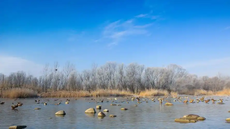 鹤壁市淇河湿地