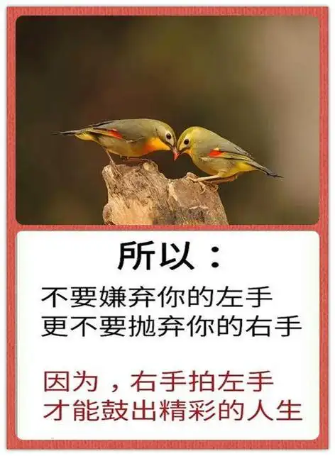 一男一女,一夫妻,左手牵右手,相知相爱幸福一辈子(知情美文)