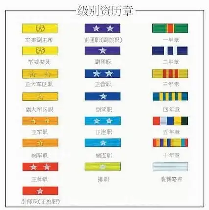 这个叫级别资历章.