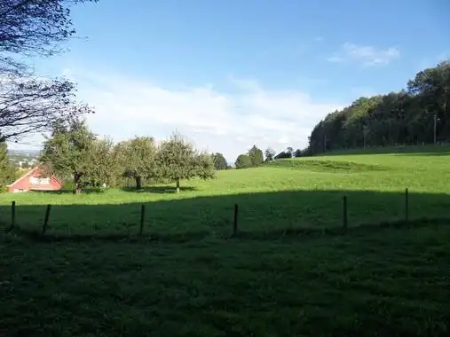 晴天抓壁纸_晴天抓图片-千叶网搜索