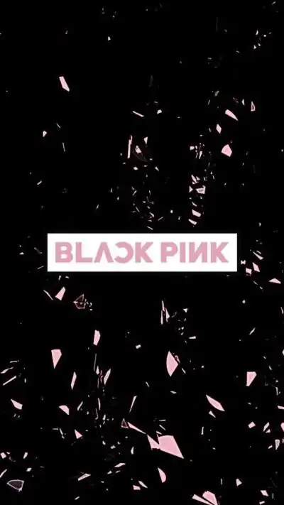blackpink动壁纸