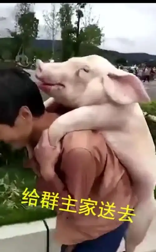 给群主家送礼去!