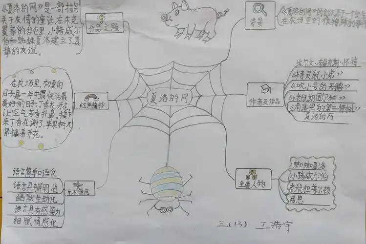 《夏洛的网》深度阅读——三(13)班王浩宇