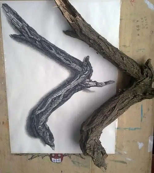 大学期间木材素描写实.