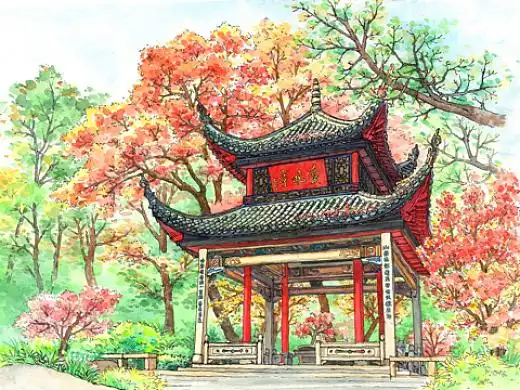 手绘长沙爱晚亭