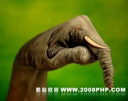 人体手势动物形象彩绘之手的艺术