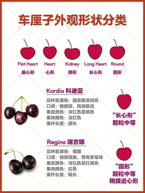 常见的车厘子品种外观口感详解