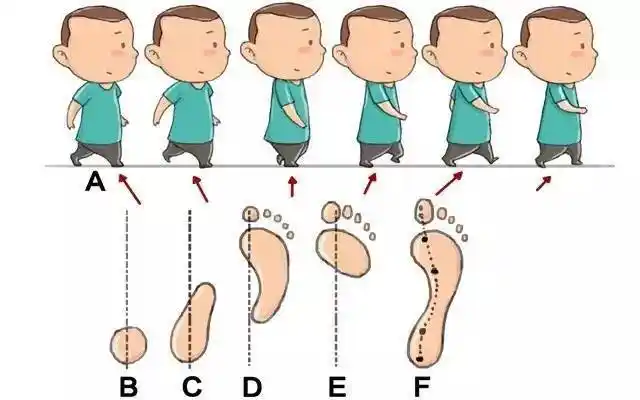 改变走路着力点 正确的走路姿势受力点应该是下面这样
