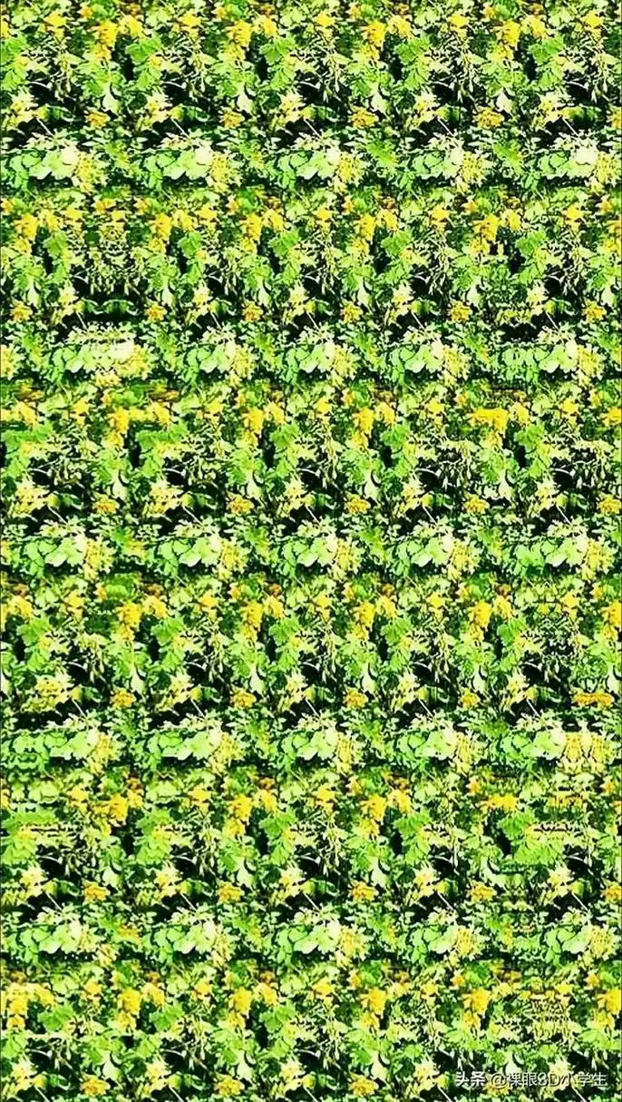 三维立体图,能全部看清楚的是高手啊