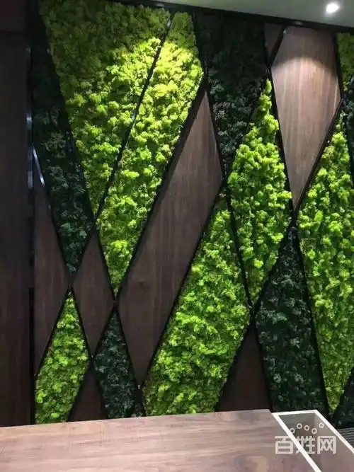 兰州植物墙 绿植墙装饰