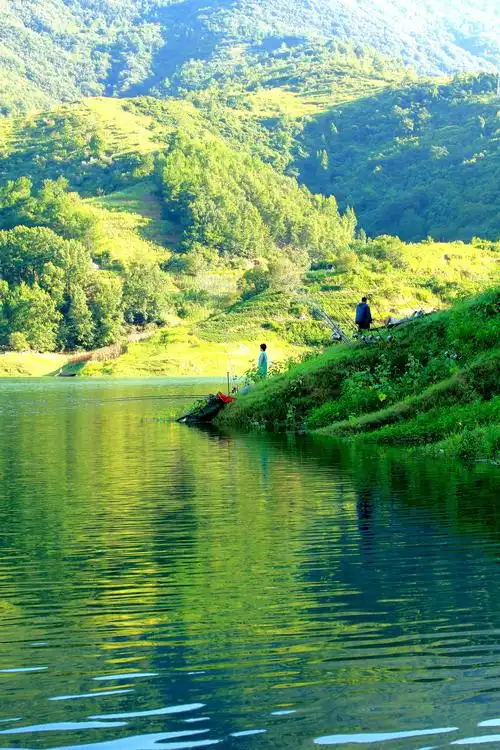 2020年一个难忘的春天