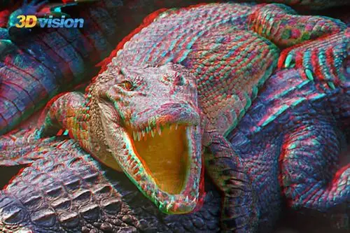 3d红蓝图片集锦 需要佩戴红蓝眼镜观看