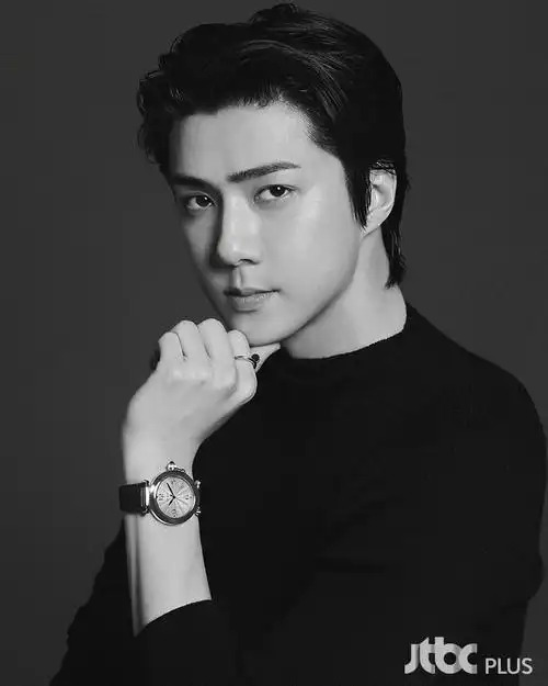 exo吴世勋宣传照公开,红色皮衣华丽贵气,和粉墨金智秀获同品牌青睐