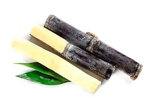 广西黑皮甘蔗图片