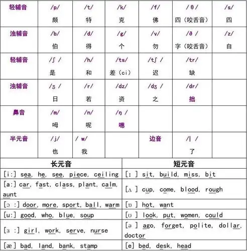英语国际音标表版(48个)