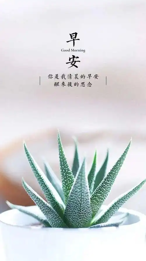 早安正能量简单一句话 周二阳光早上好问候语图片