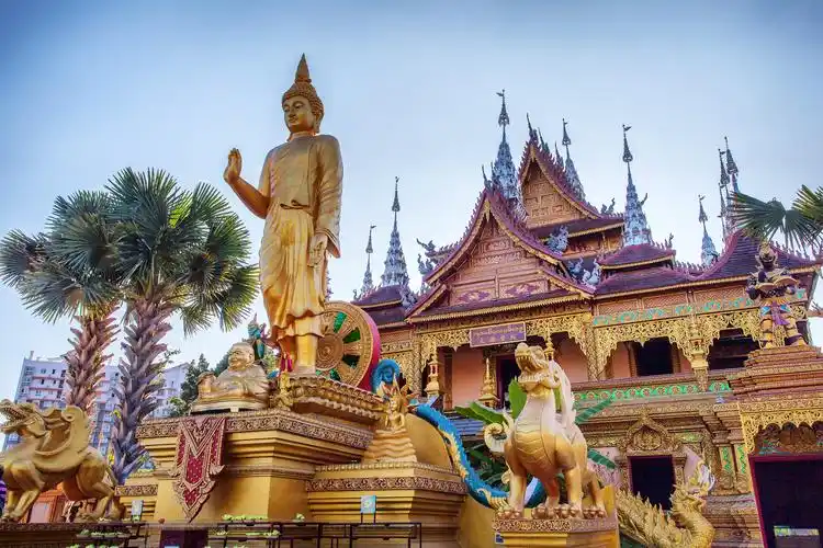 西双版纳版纳热带植物园5日4晚跟团游