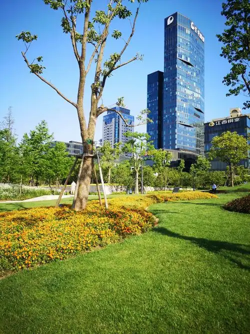 5.12 上海船厂滨江绿地