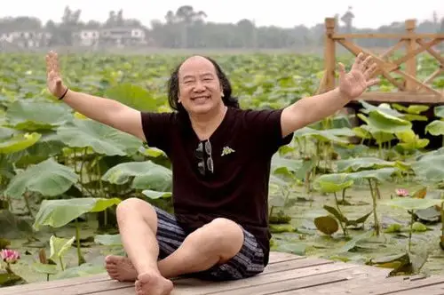 周华君翰墨文心当代中国画核心画家60家笔墨研究展