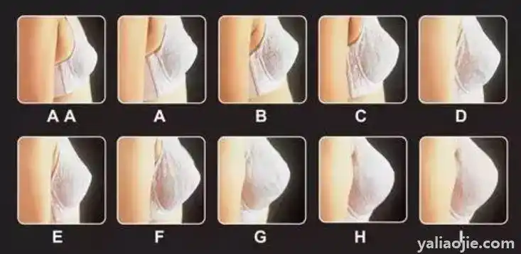 36d是指上胸围97.5cm,下胸围80cm.