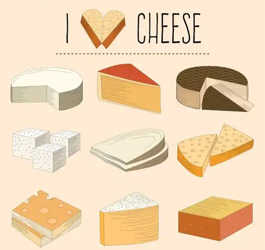 手绘矢量奶酪