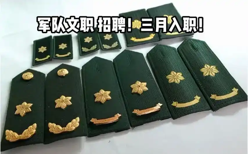 军队文职.要求男女30 周岁以下,公办二本以上学历,不限专业 - 抖音