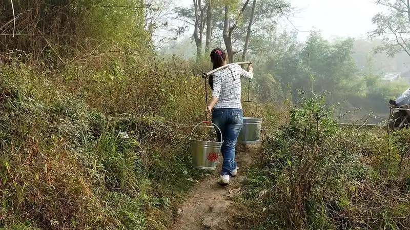 一起去挑水,她们都有些年长,像我这般年龄的并没有因此都叫我扁担姑娘