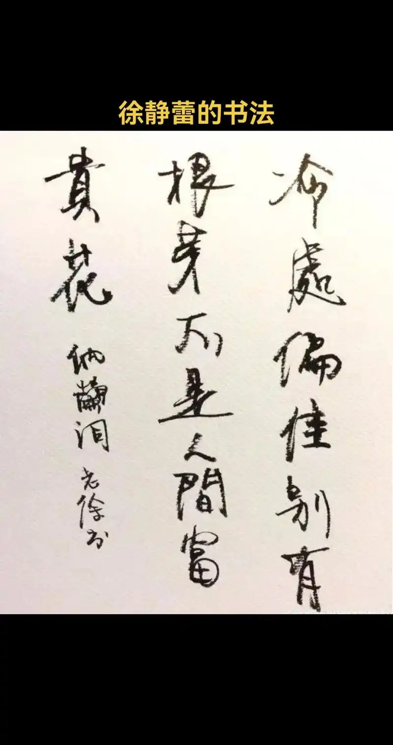 "方正静蕾简体"被方正方面称为我国第一款真正意义上的个人书法 - 抖