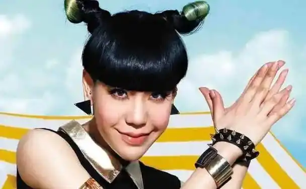 "红的快,凉的更快"的6位明星,有人自找苦吃,有人让人惋惜