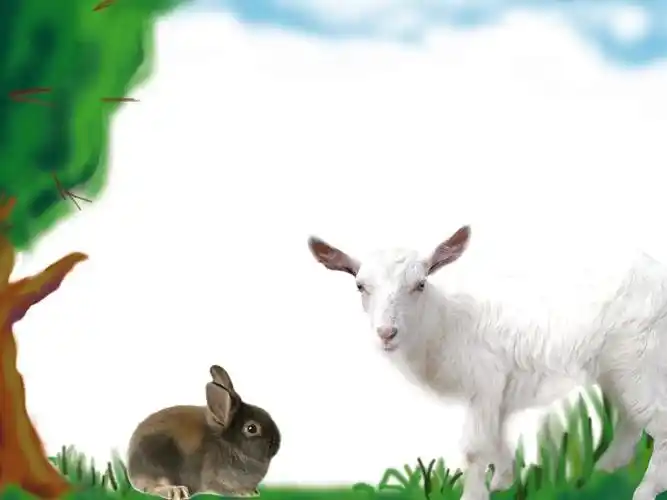 小山羊与小灰兔ppt