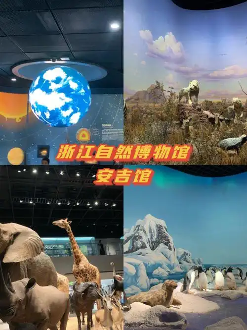 自驾游第三站打卡浙江自然博物馆安吉馆