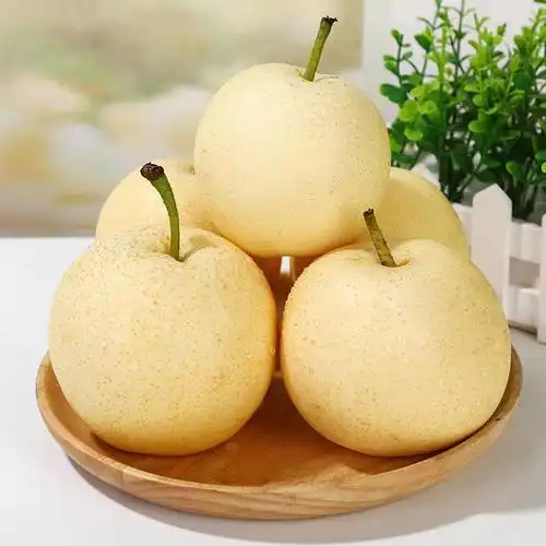 山西贡梨酥梨果冰糖蜜梨新鲜梨子水果原产地现摘现发