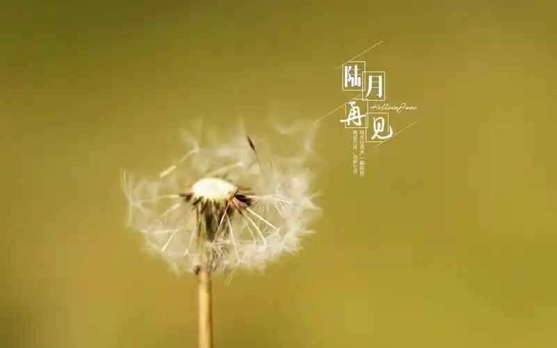 专属六月再见带字文案配图,高清壁纸图片,非主流-回车桌面