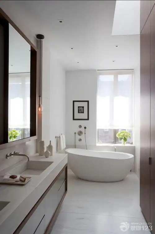 大卫生间浴缸装修效果图