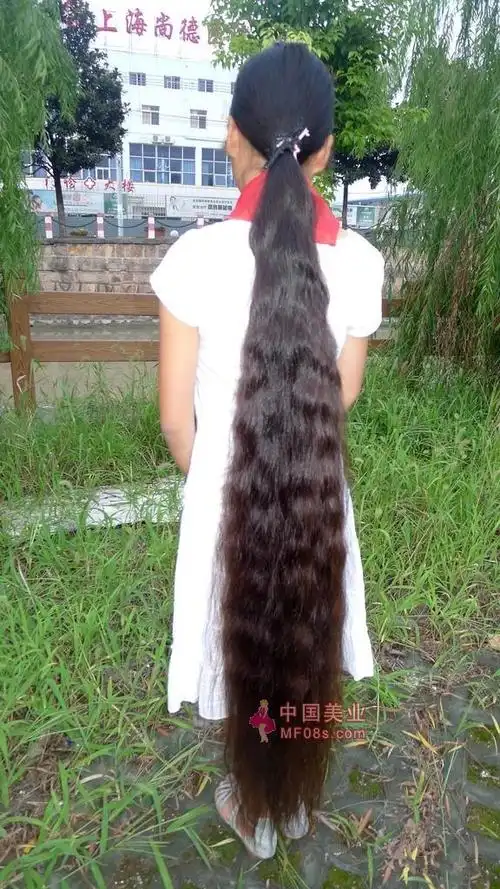 剪下小妹子的超长辫子(9) 剪发_中国长发