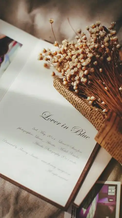 很贴近生活的小清新静物唯美图片