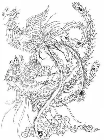 凤凰画简笔画铅笔画