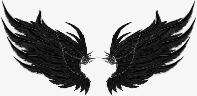 翅膀图片