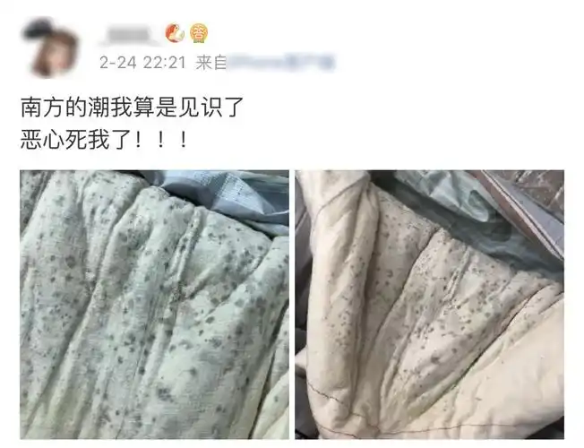 问南方晴为何物直教人湿去内裤